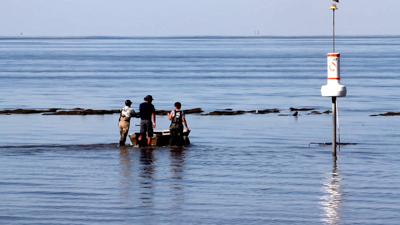 Delaware Bay Oyster Farming